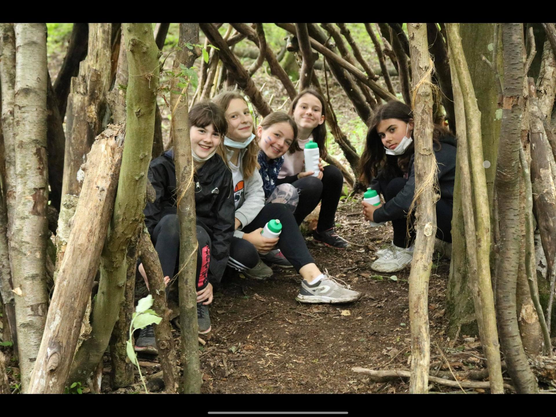 Cabane foret
